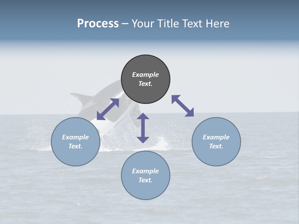 Pacific Washington Southern PowerPoint Template