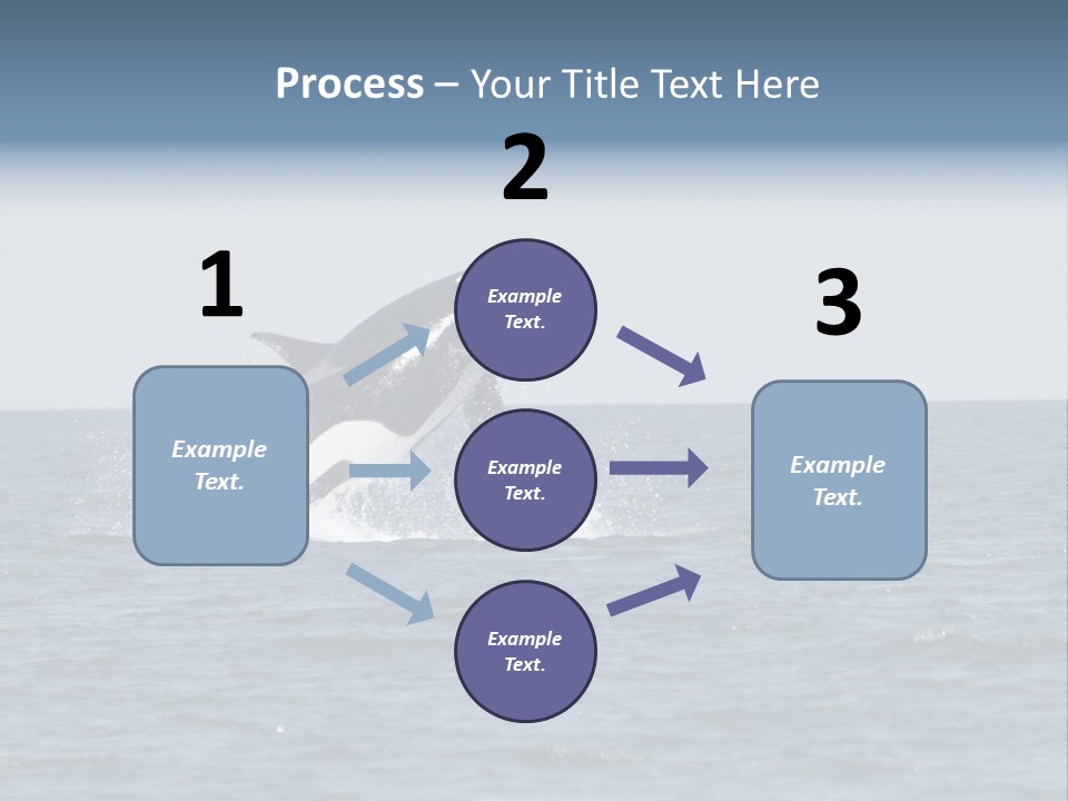 Pacific Washington Southern PowerPoint Template