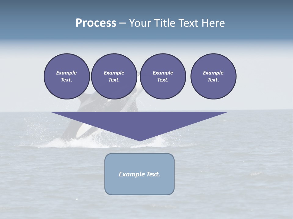 Pacific Washington Southern PowerPoint Template