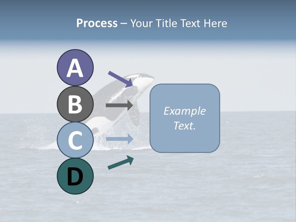 Pacific Washington Southern PowerPoint Template
