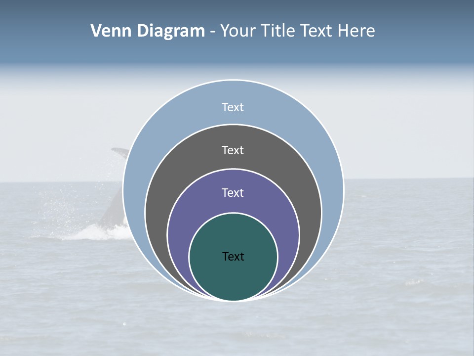Pacific Washington Southern PowerPoint Template