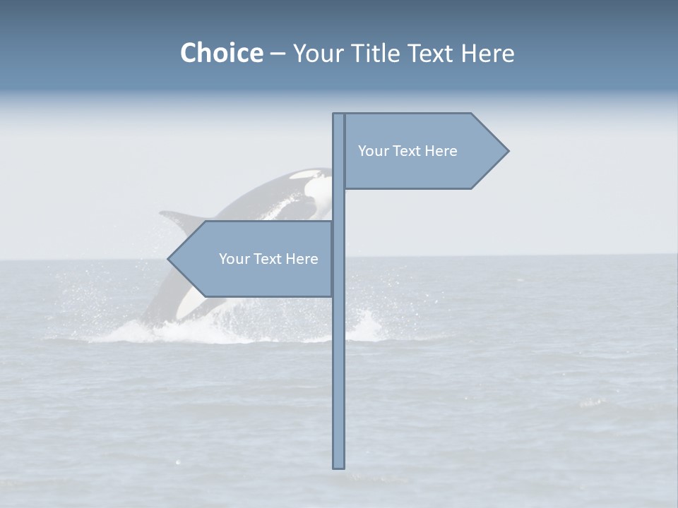 Pacific Washington Southern PowerPoint Template