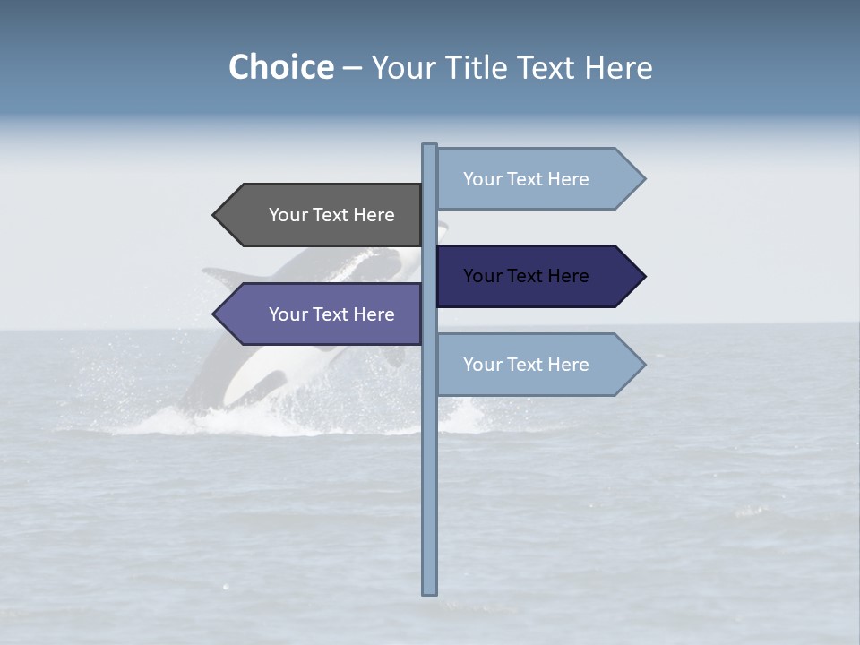 Pacific Washington Southern PowerPoint Template