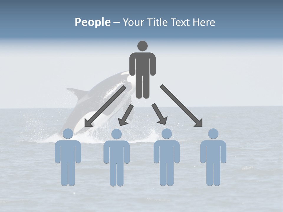 Pacific Washington Southern PowerPoint Template