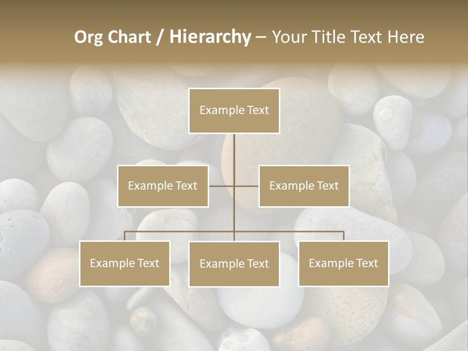 Macro Wallpaper Textured PowerPoint Template