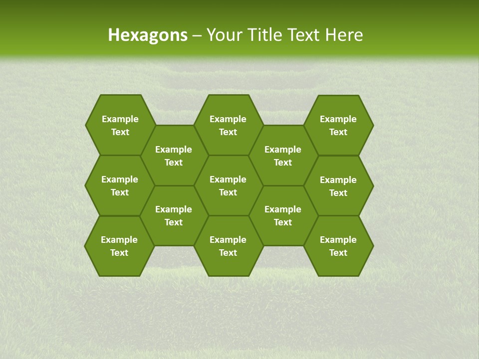 Plants Staircase Spring PowerPoint Template