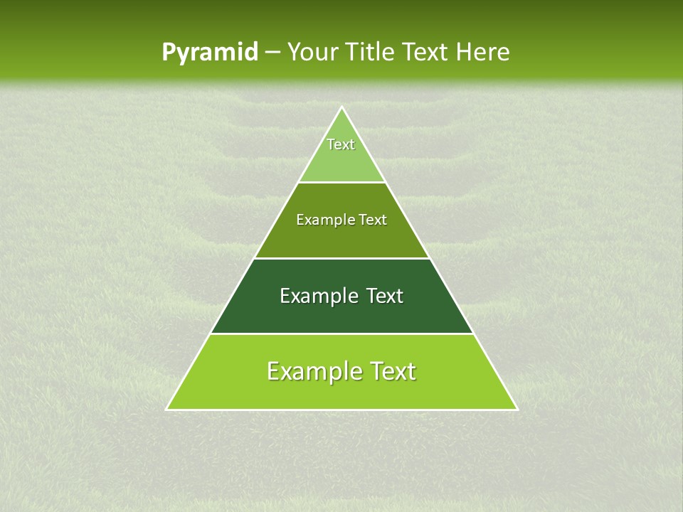 Plants Staircase Spring PowerPoint Template