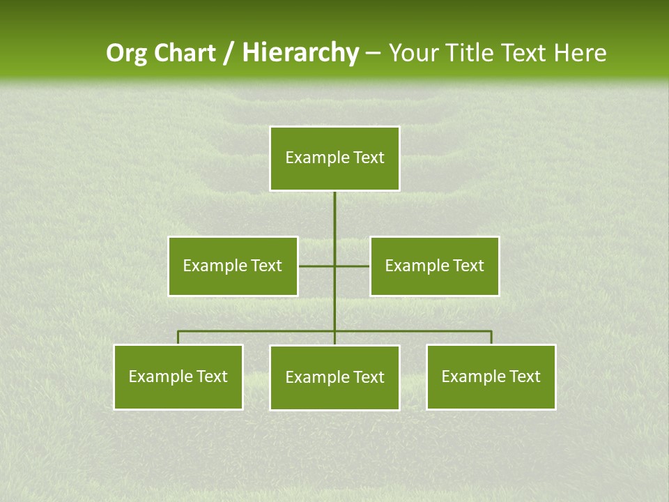 Plants Staircase Spring PowerPoint Template