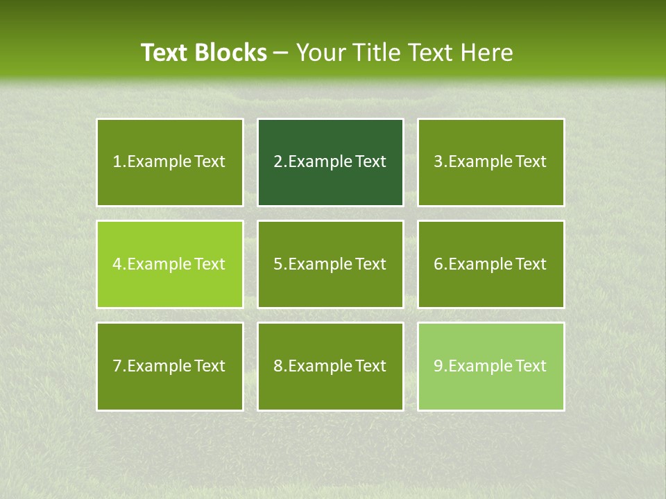 Plants Staircase Spring PowerPoint Template