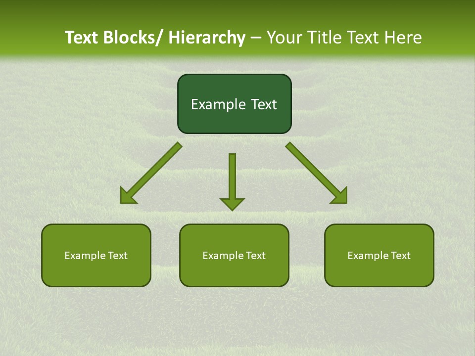 Plants Staircase Spring PowerPoint Template