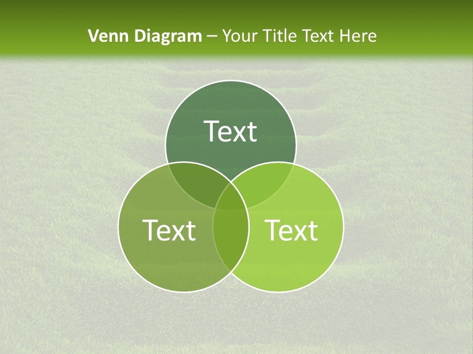 Plants Staircase Spring PowerPoint Template