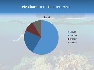 Maldives Reef Fish PowerPoint Template