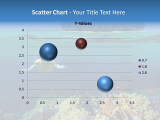 Maldives Reef Fish PowerPoint Template