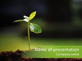 Root Seed Gardening PowerPoint Template