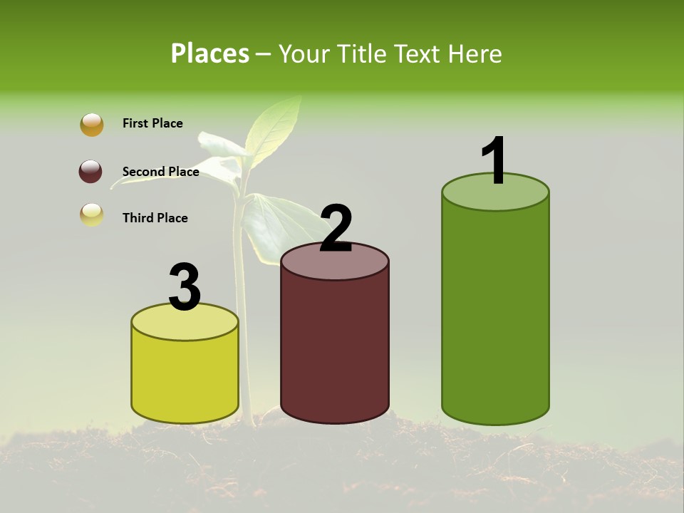 Root Seed Gardening PowerPoint Template