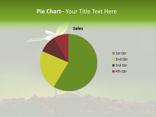 Root Seed Gardening PowerPoint Template