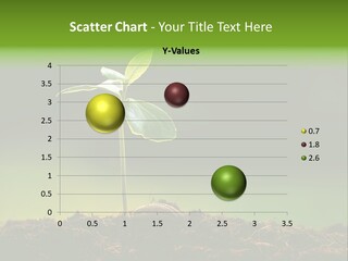 Root Seed Gardening PowerPoint Template