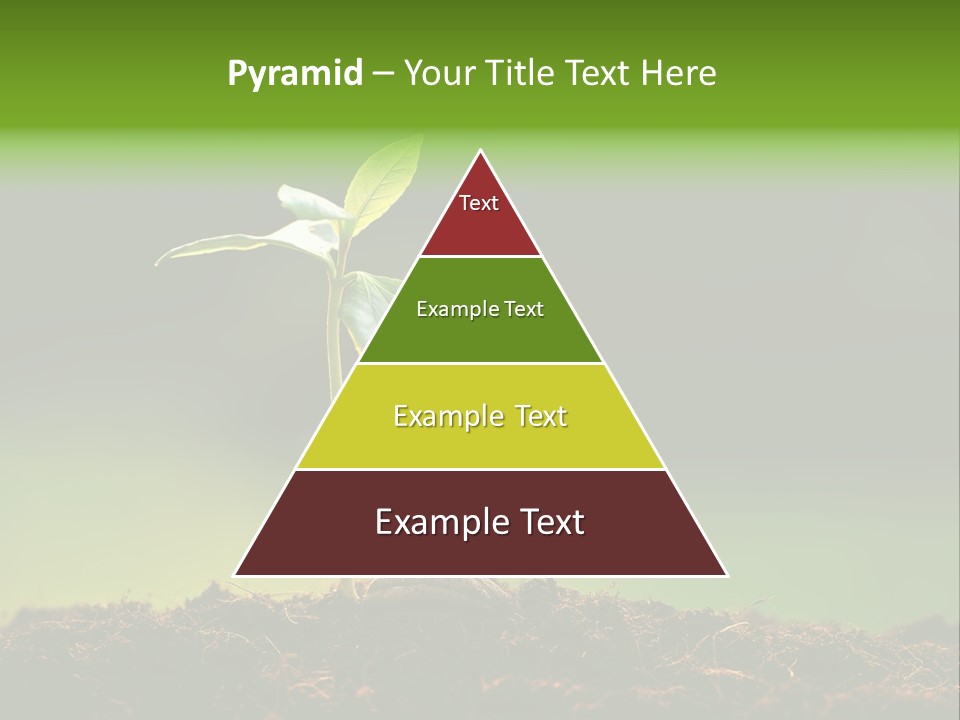 Root Seed Gardening PowerPoint Template