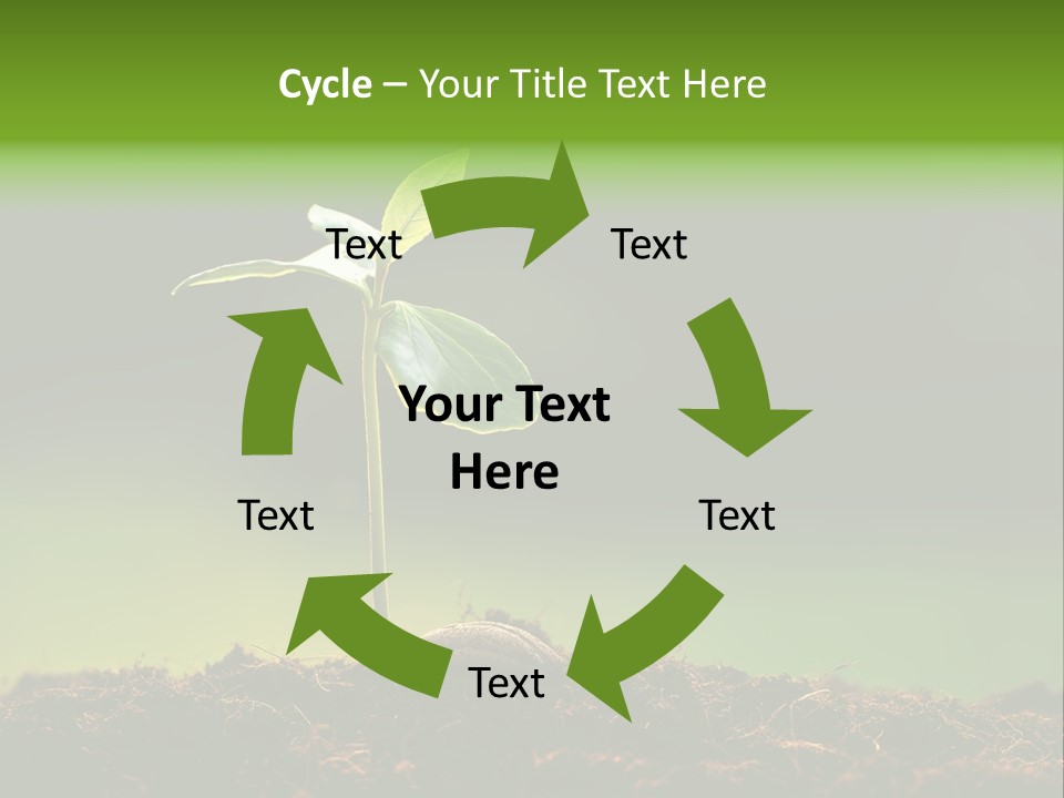 Root Seed Gardening PowerPoint Template