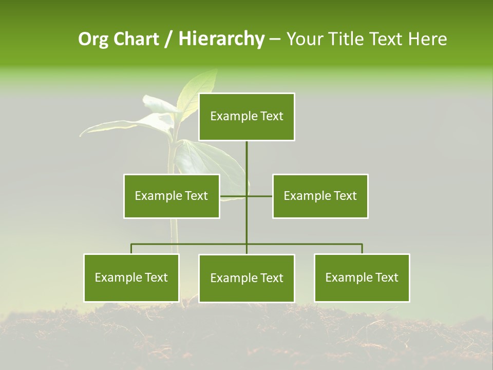 Root Seed Gardening PowerPoint Template