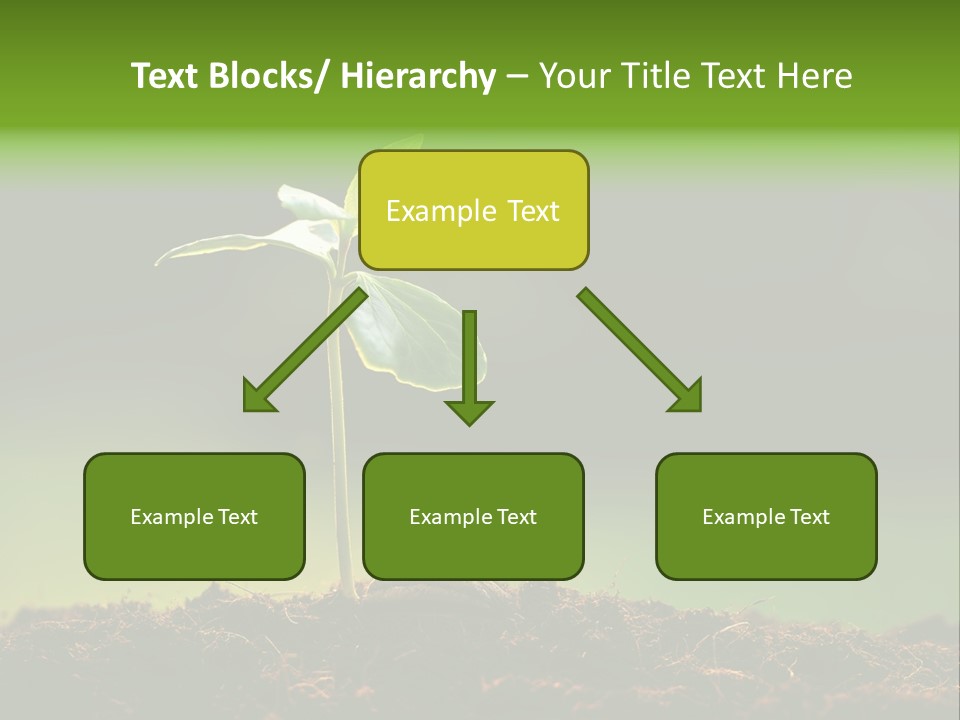 Root Seed Gardening PowerPoint Template