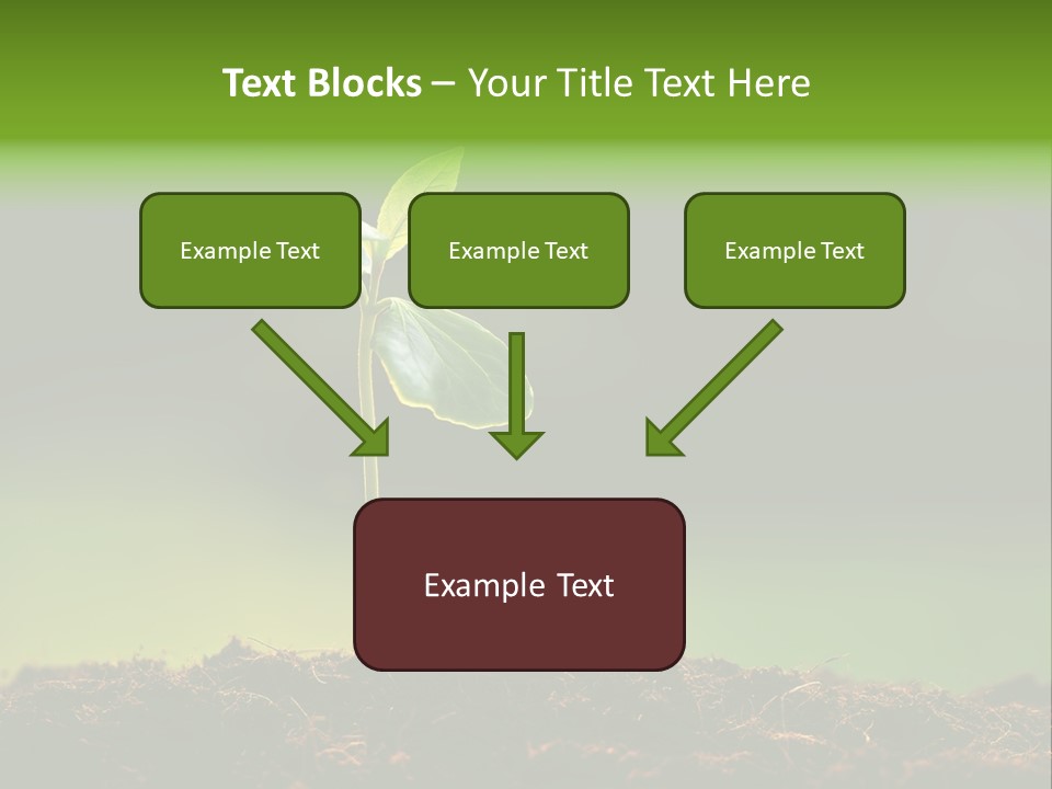 Root Seed Gardening PowerPoint Template