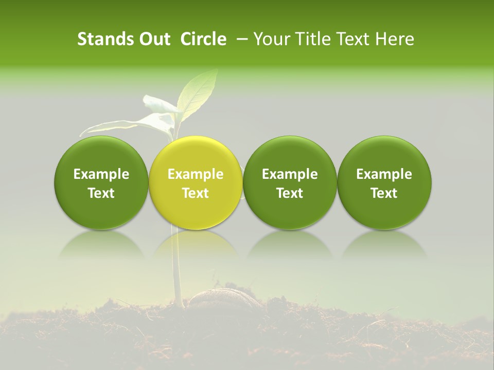 Root Seed Gardening PowerPoint Template