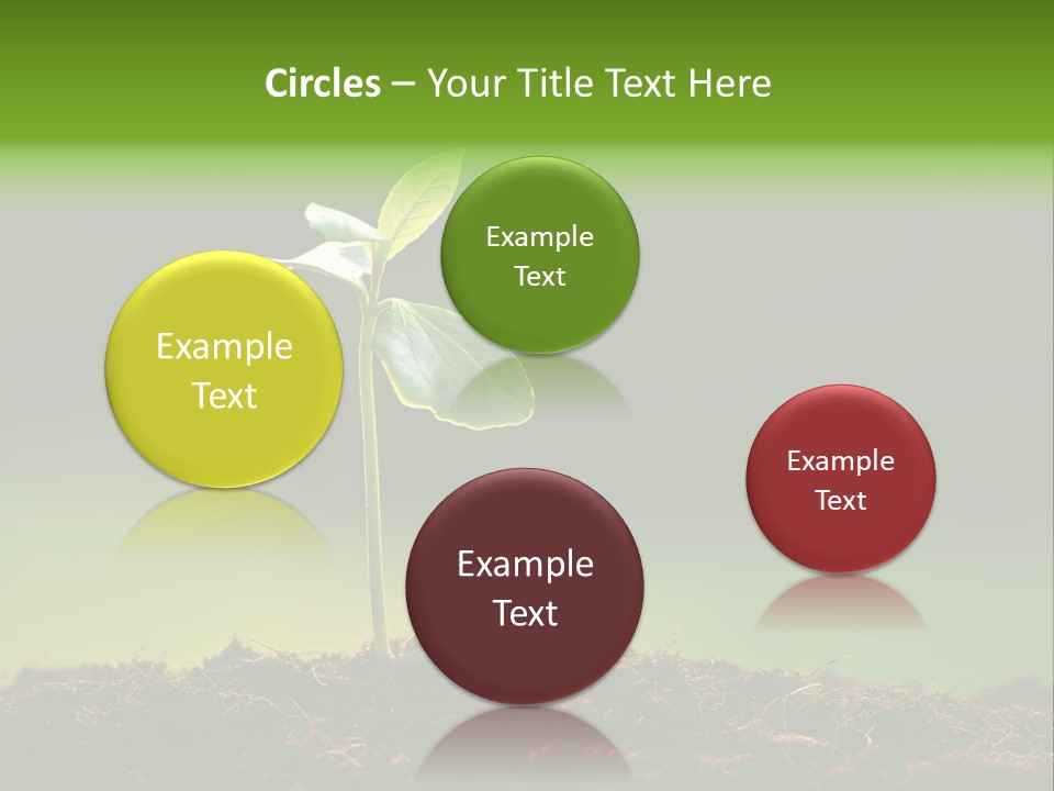 Root Seed Gardening PowerPoint Template