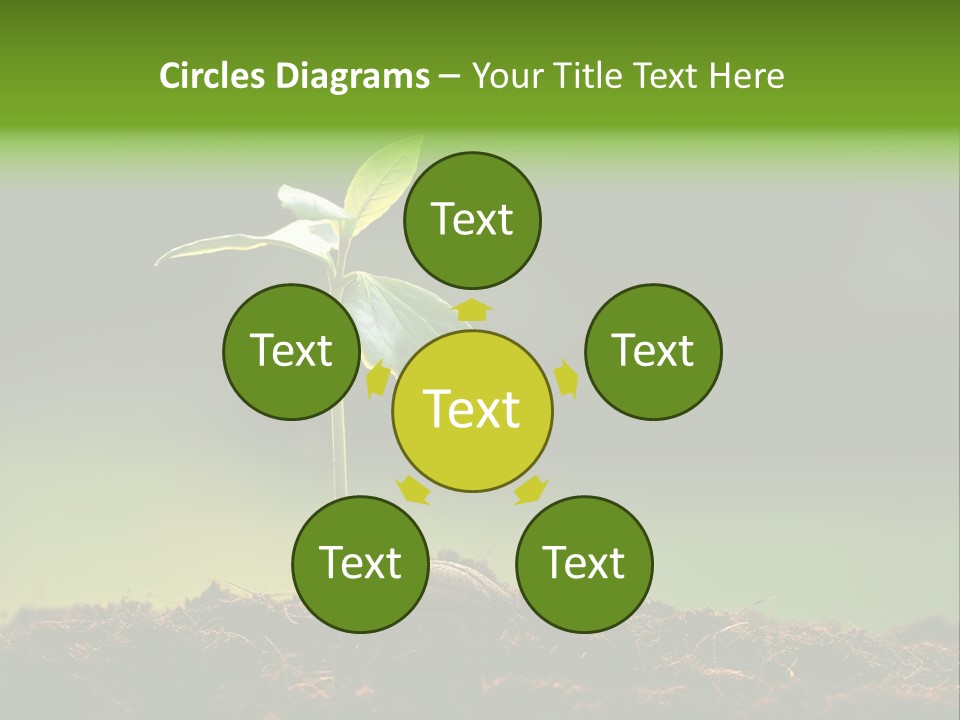 Root Seed Gardening PowerPoint Template