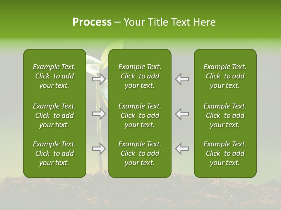 Root Seed Gardening PowerPoint Template