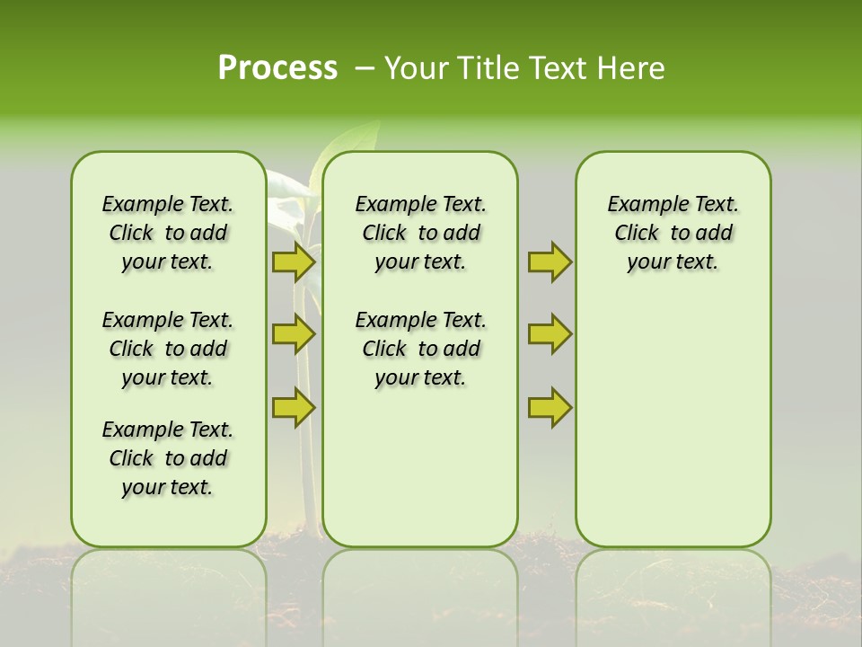 Root Seed Gardening PowerPoint Template