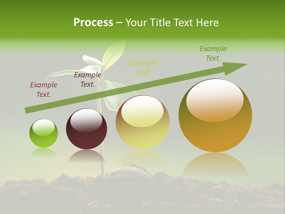 Root Seed Gardening PowerPoint Template
