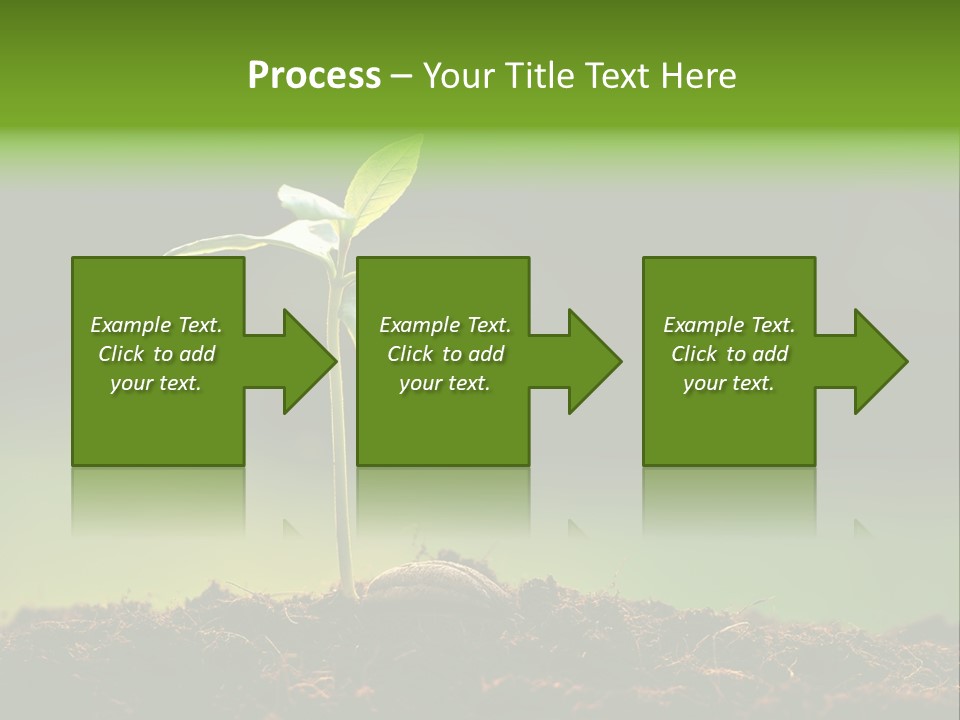 Root Seed Gardening PowerPoint Template