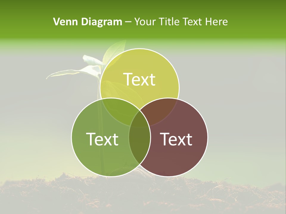 Root Seed Gardening PowerPoint Template