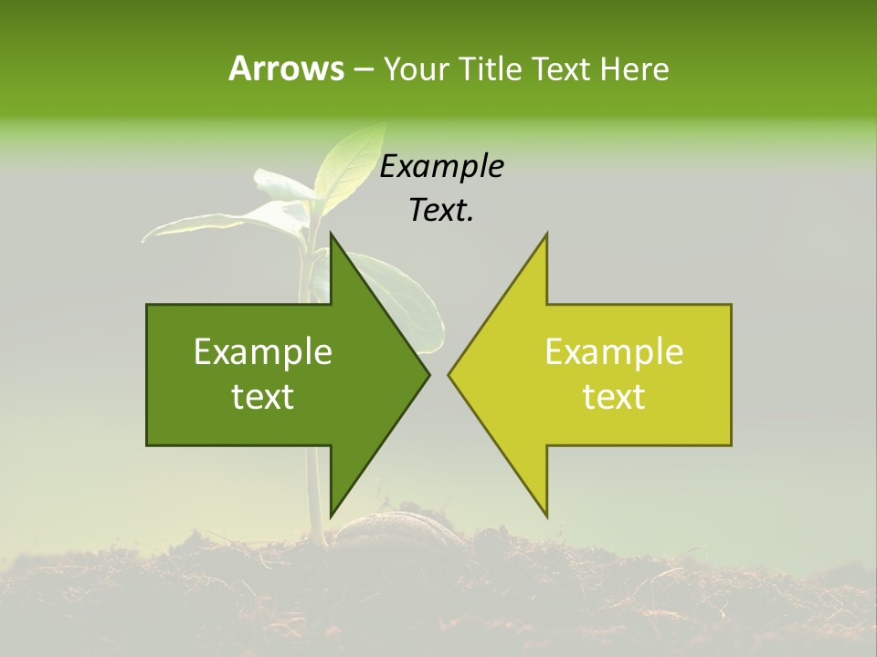 Root Seed Gardening PowerPoint Template