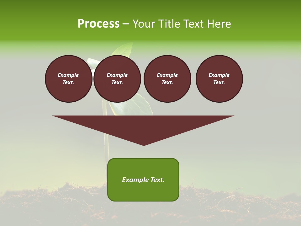 Root Seed Gardening PowerPoint Template