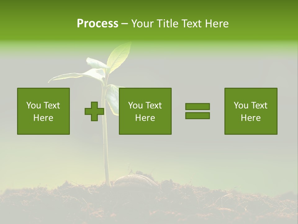 Root Seed Gardening PowerPoint Template