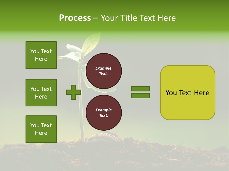 Root Seed Gardening PowerPoint Template