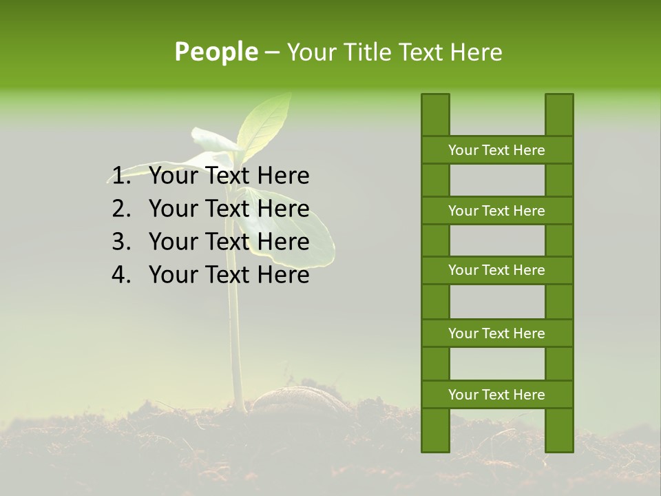 Root Seed Gardening PowerPoint Template