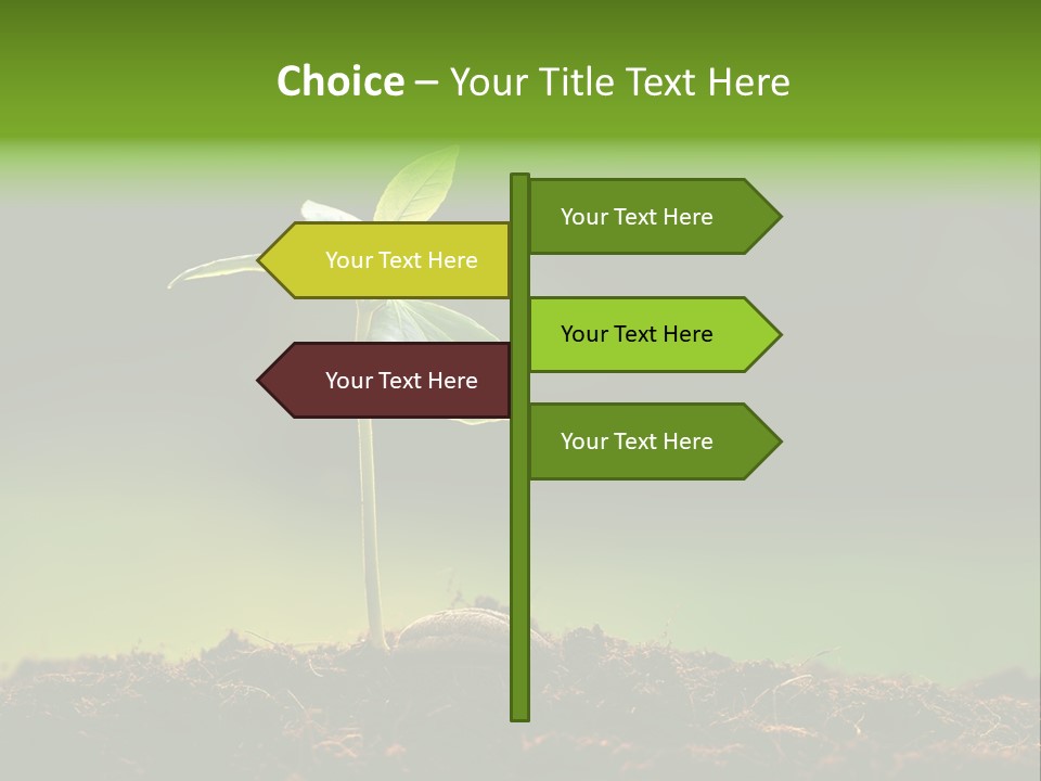 Root Seed Gardening PowerPoint Template