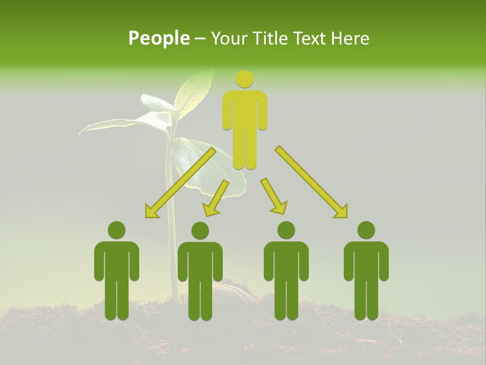 Root Seed Gardening PowerPoint Template