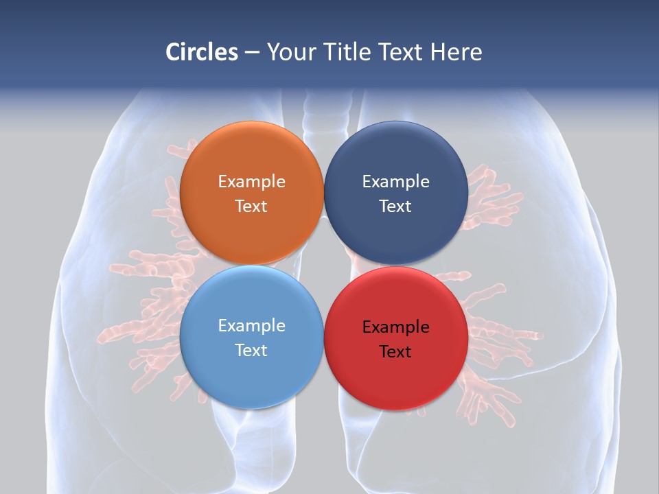 Background Physiology Man PowerPoint Template