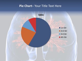 Background Physiology Man PowerPoint Template