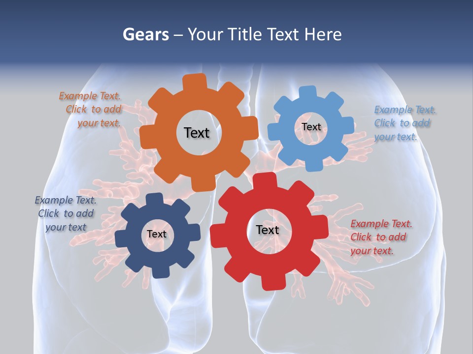 Background Physiology Man PowerPoint Template