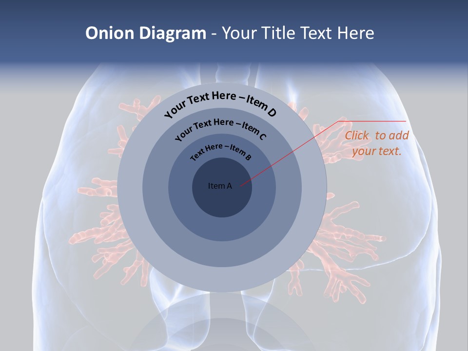 Background Physiology Man PowerPoint Template