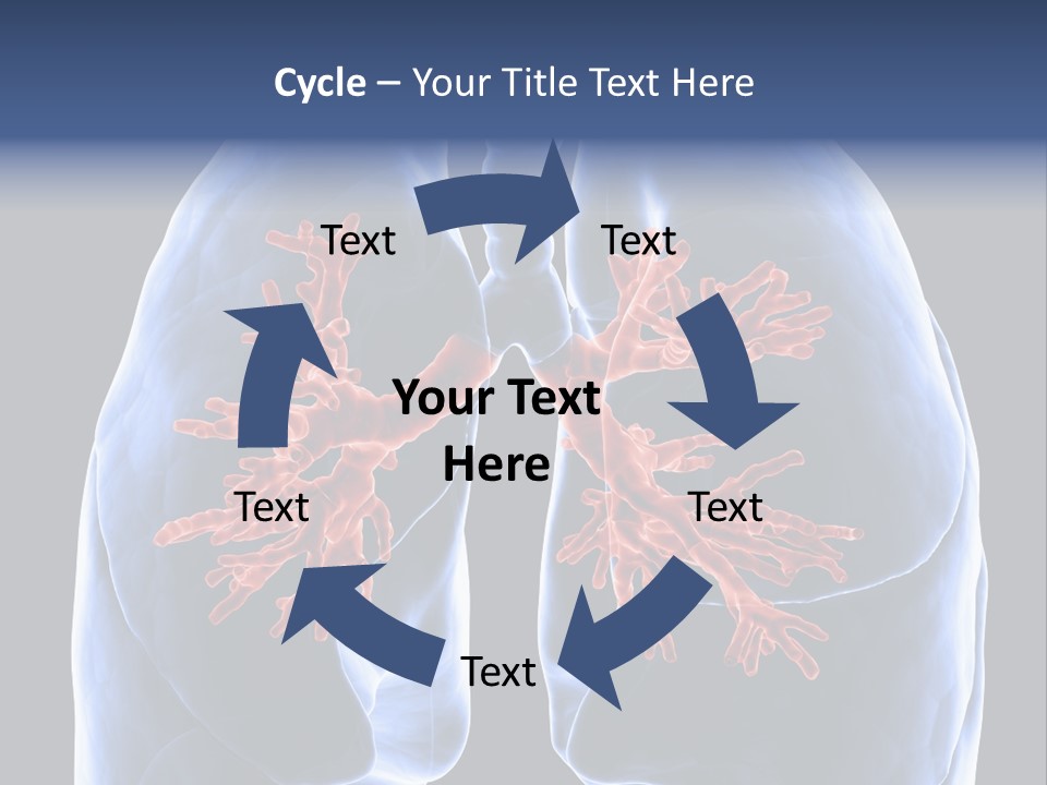 Background Physiology Man PowerPoint Template