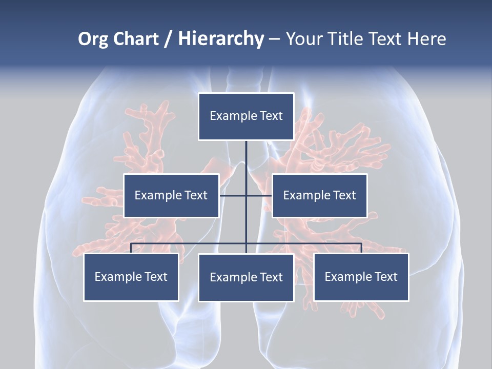 Background Physiology Man PowerPoint Template