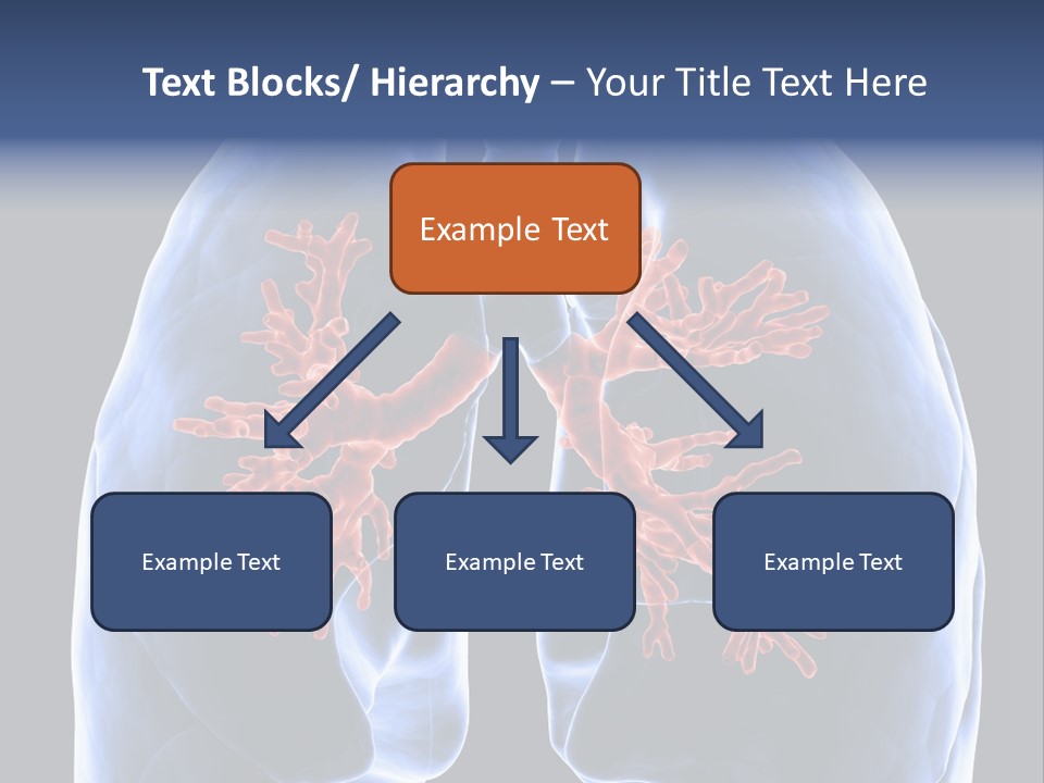 Background Physiology Man PowerPoint Template