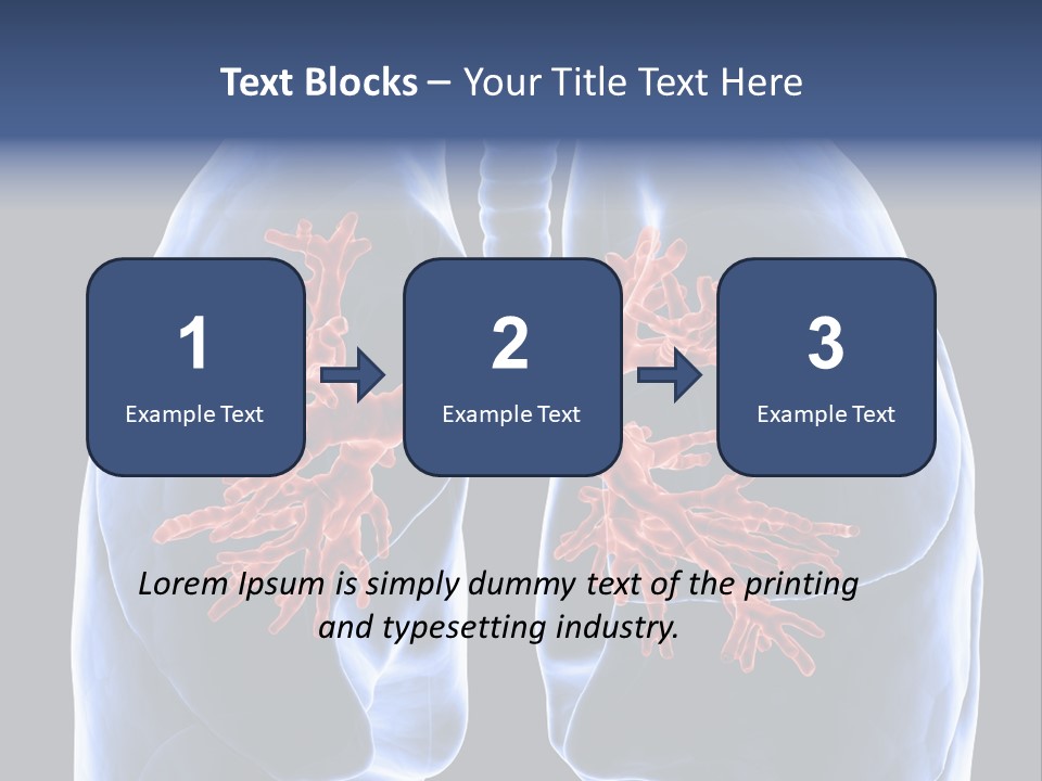 Background Physiology Man PowerPoint Template