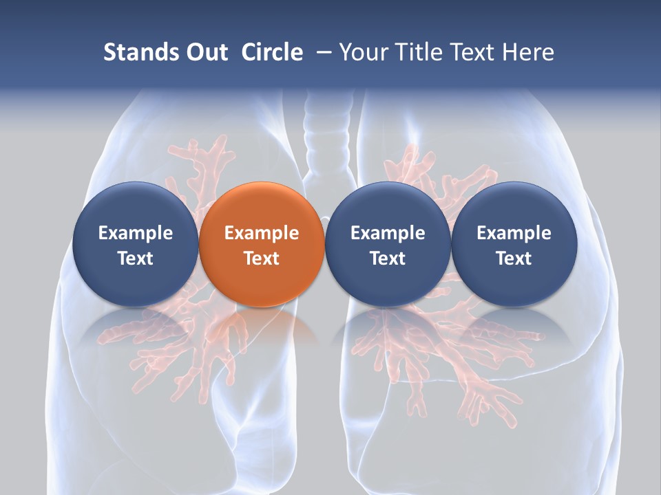Background Physiology Man PowerPoint Template